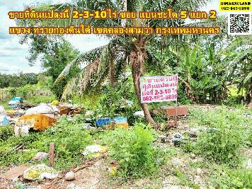 ขายที่ดินแปลงนี้ เนื้อที่ 2-3-10 ไร่ ซอย แบนชะโด 5 แยก 2  แขวง ทรายกองดินใต้ เขตคลองสามวา กรุงเทพมหานคร   